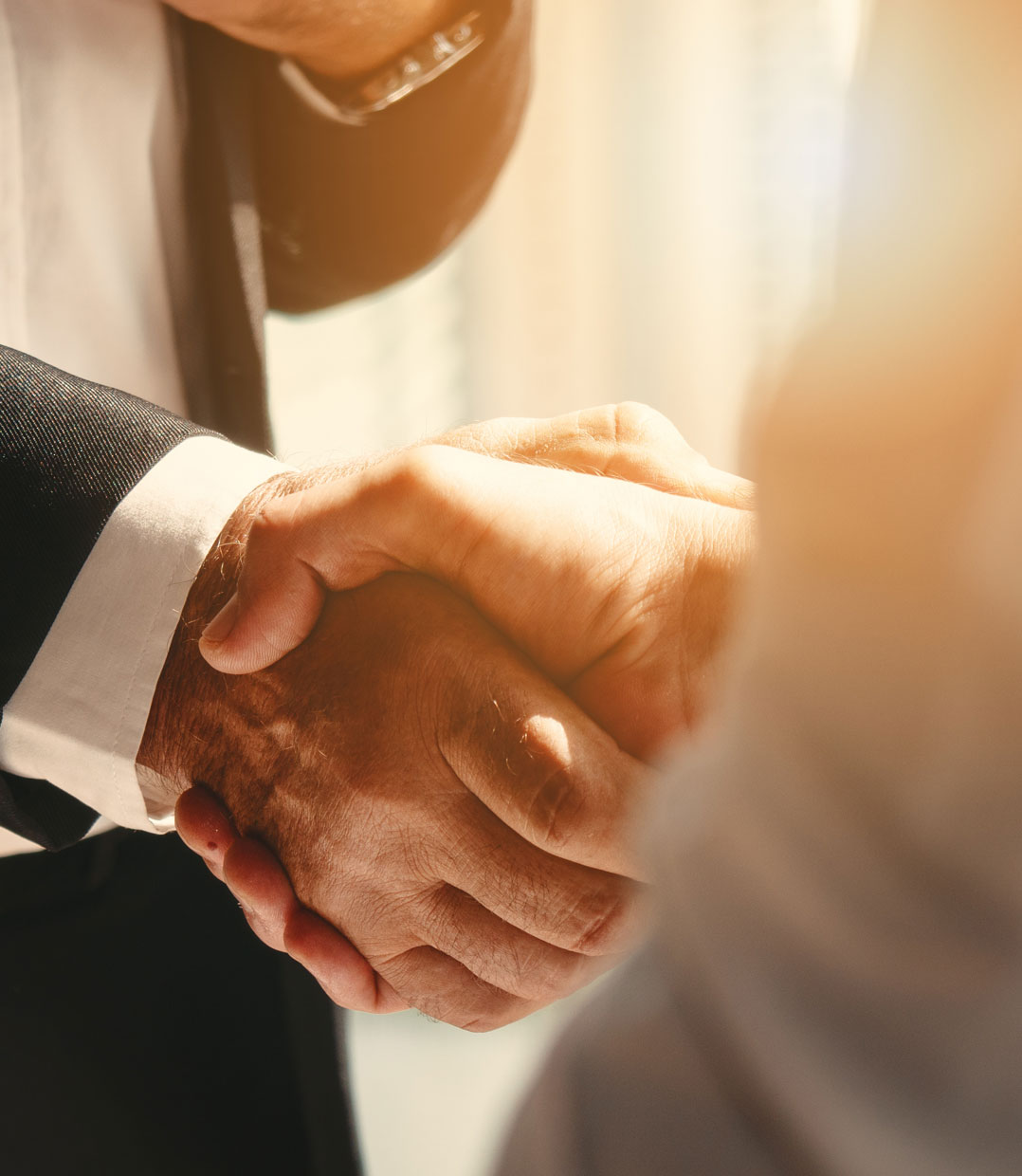 多岐に亘る分野での実績